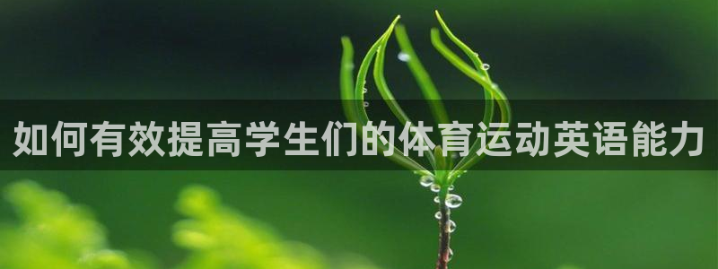 678体育app：如何有效提高学生们的体育运动英语能力