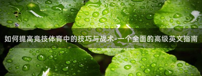 678体育官网：如何提高竞技体育中的技巧与战术-一个全面的高级英文指南