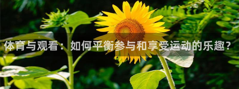 678体育知识：体育与观看：如何平衡参与和享受运动的乐趣？