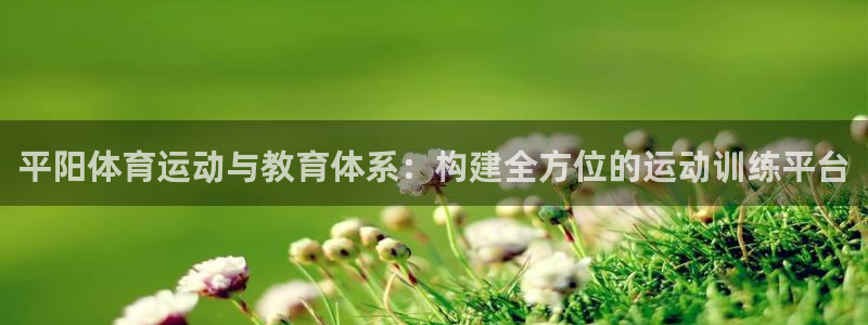 678体育知识：平阳体育运动与教育体系：构建全方位的运动训练平台