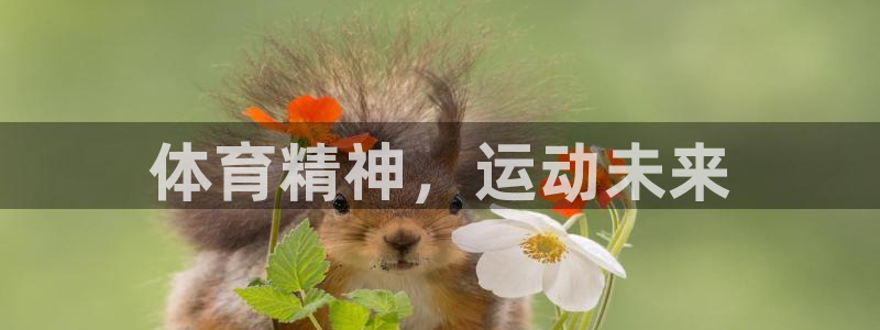 皇冠678体育：体育精神，运动未来