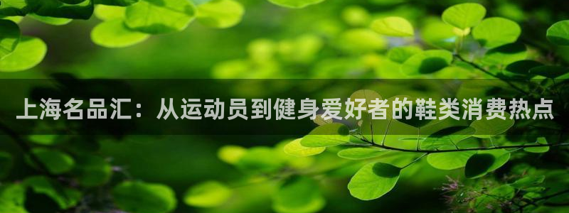 678体育官网下载：上海名品汇：从运动员到健身爱好者的鞋类消费热点